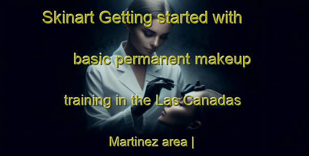 Skinart Getting started with basic permanent makeup training in the Las Canadas Martinez area | PermanentmakeupTraining | PermanentmakeupClasses | SkinartTraining-Mexico